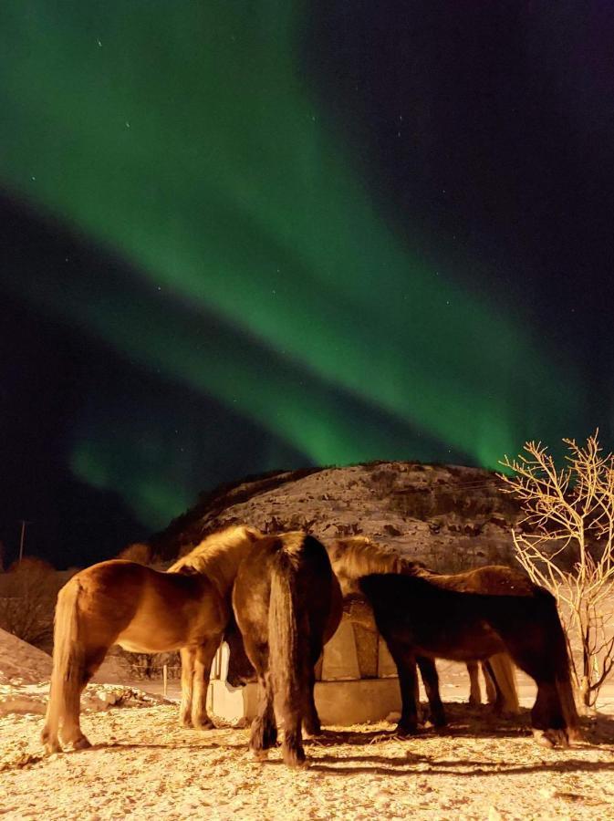 Storjord Farmstay Ranchhouse Kvaloya Exterior photo