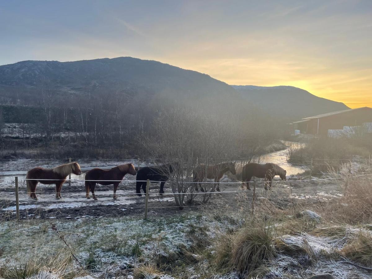Storjord Farmstay Ranchhouse Kvaloya Exterior photo